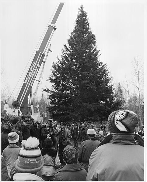 Hauling the Nation’s Capitol Christmas Tree out of Minnesota’s Nemadji State Forest in preparation for the tree’s trip to Washington, D.C.